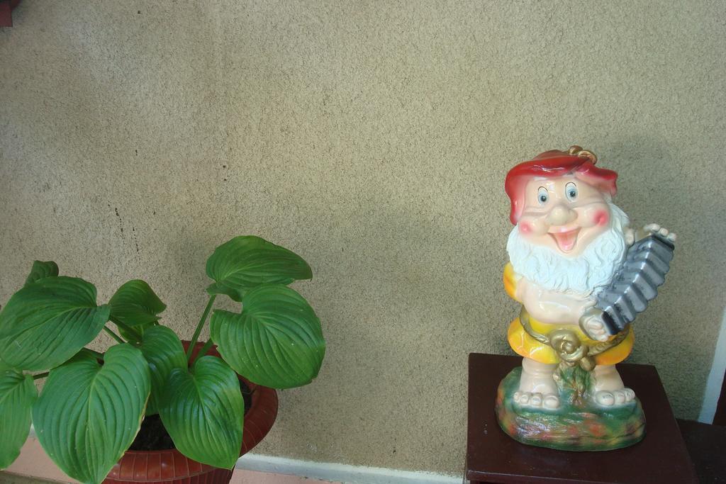 Usadba Chayka Hotel Kurortne  Zewnętrze zdjęcie